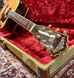 Washburn Millenium DM2000SCE