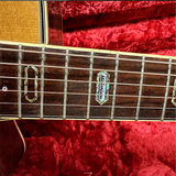 Washburn Millenium DM2000SCE