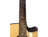 Crafter VLD-28CE Pro