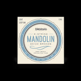 Daddario EJ62 10 Gauge Mandolin Strings
