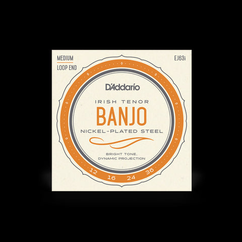 Daddario EJ63I 12-36  Gauge Irish Tenor Banjo Strings