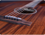 Crafter MIND D-15e Pro