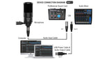 Audibax AT2020 Condenser Professional Studio Microphone