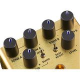 Pugilist Distortion