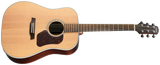 Walden D800E Natura Dreadnought