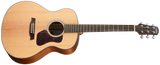Walden G550E Natura Grand Auditorium