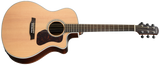 Walden G800CE Natura Grand Auditorium