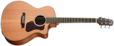 Walden G570CE Natura Grand Auditorium