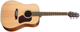 Walden D550E Natura Dreadnought
