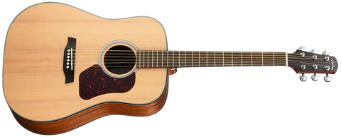 Walden D550E Natura Dreadnought