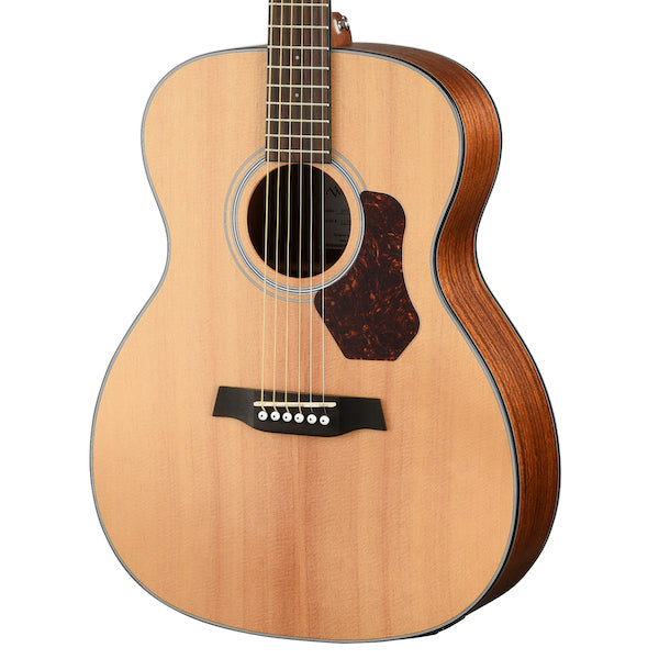 Walden guitar deals price