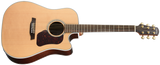 Walden D600CE Natura Dreadnought