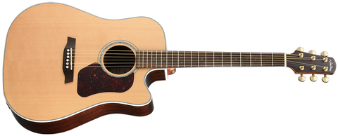 Walden D600CE Natura Dreadnought