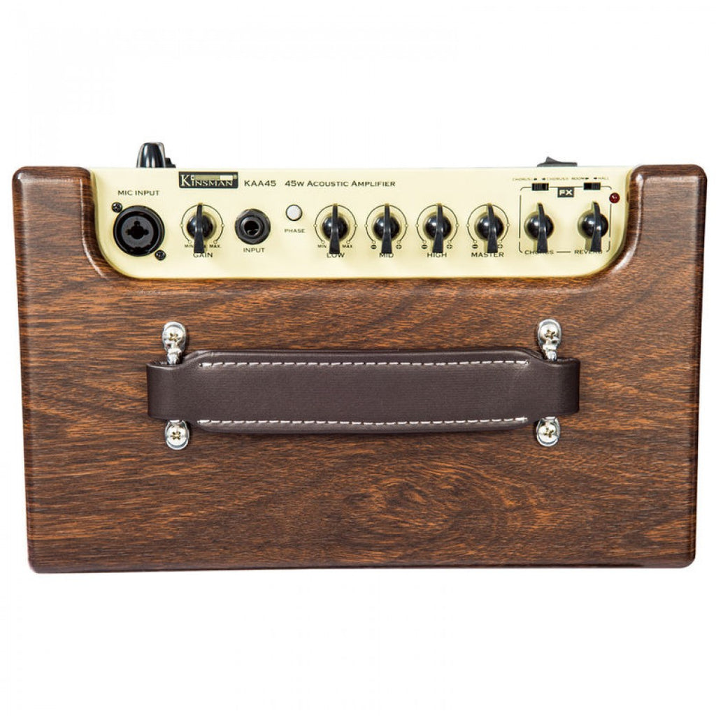 Acoustic amp outlet with mic input