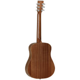 Tanglewood TW2 T