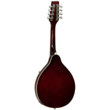 Tanglewood TWMT WR Mandolin