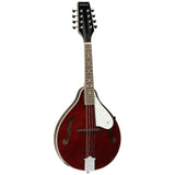 Tanglewood TWMT WR Mandolin