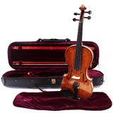 Natural Violin Outfit - Violin with case, bow and Rosin HDV31C 4/4