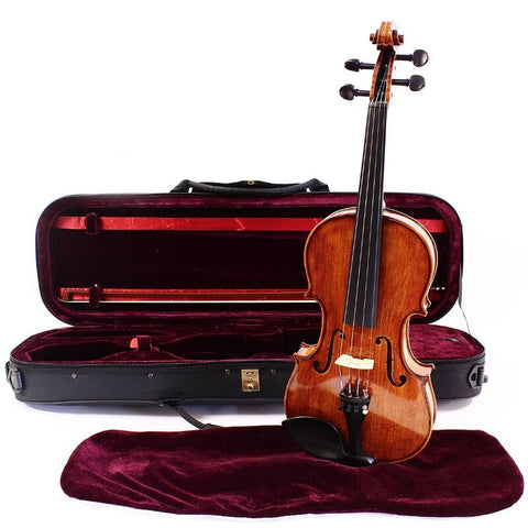 Natural Violin Outfit - Violin with case, bow and Rosin HDV31C 4/4