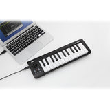 Korg MicroKey 25 - USB Keyboard