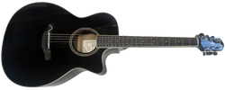 Crafter HT-250CE/BK