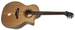 Crafter VLG-17CE Pro