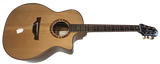 Crafter VLG-17CE Pro