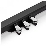 Casio Privia PX-770BK