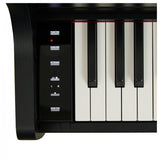 Casio CELVIANO AP-300BK