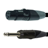 Enova 6m XLR EC-A1-XLFPLM2-6