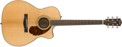 Fender PM-4CE
