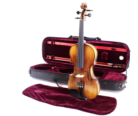 Natural Violin Outfit - Violin with case, bow and Rosin HDV41 4/4