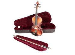 Natural Violin Outfit - Violin with case, bow and Rosin HDV11 1/2